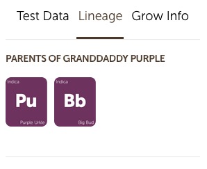 Granddaddy Purple Lineage