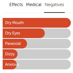 Super Silver Haze  Negatives