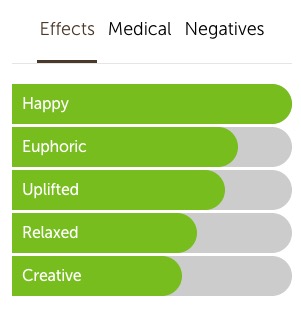 XJ-13 Effects